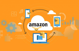 Amazon Vendor Services